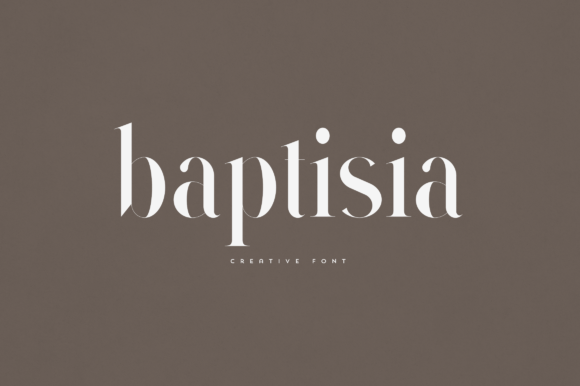 Baptisia: A Serif Font That Elevates Handmade Branding and Product Design
