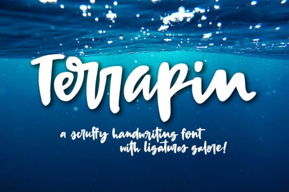 Terrapin: A Handwritten Script Font for Editorial Elegance
